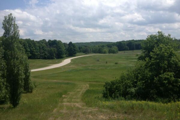 Downward view of a huge green pasture with forests on the horizon and a winding dirt road through the grass.