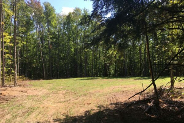 Recently cleared lot with tall hardwood trees surrounding the cleared dirt buildable area.