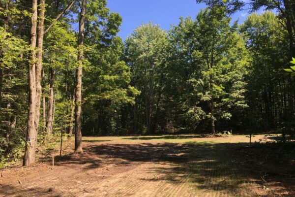 Recently cleared lot with tall hardwood trees surrounding the cleared dirt buildable area.