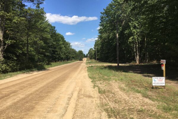 Straight dirt road lined with large hardwood trees on both sides and a wooden fence along the left side.
