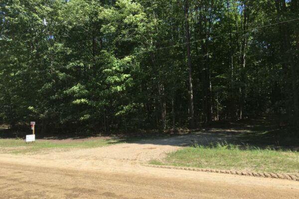 Dirt road with a dirt driveway leading into the dense woods.