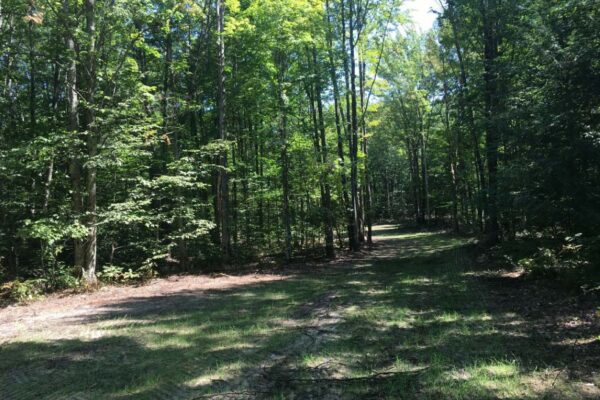 Beebe Road Property Photos 5