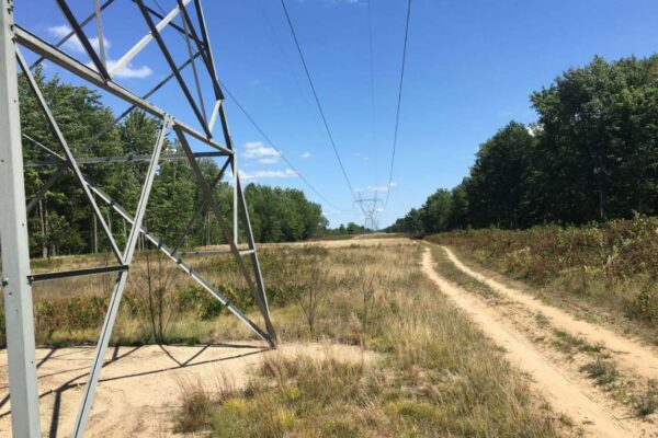 Dirt two-track through an open field with forest on both sides and a large electrical transmission towers running parallel to the two-track.