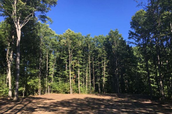 Recently cleared lot with tall hardwood trees surrounding the cleared dirt buildable area.