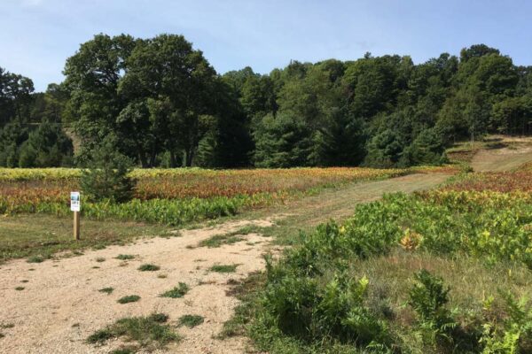 Big Sky Property Photos 1