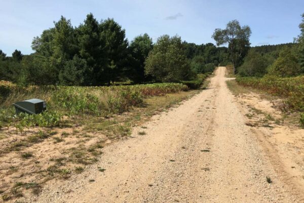 Long dirt road with dirt driveways through the Big Sky property development in Wexford County.