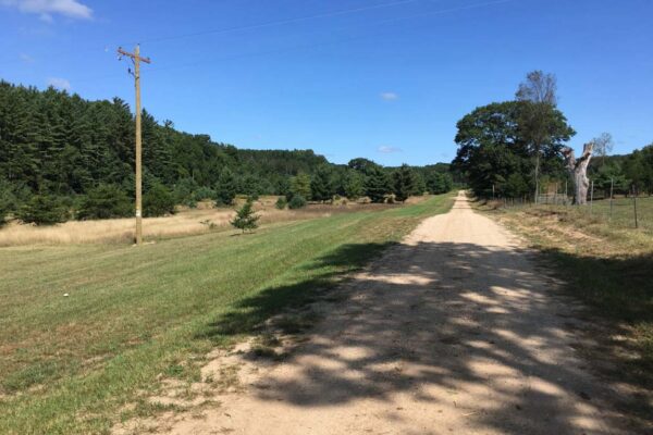 Long straight dirt road with a fence along the right side and a pine forest along the left.