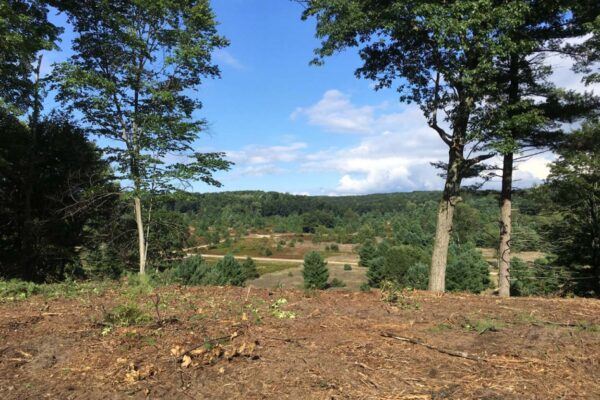 View from the top of a hill overlooking the road winding through the Big Sky residential property development.