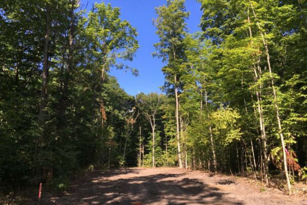 Small cleared parcel of forest land for sale in Northern Michigan at the Black Walnut Lane property development.