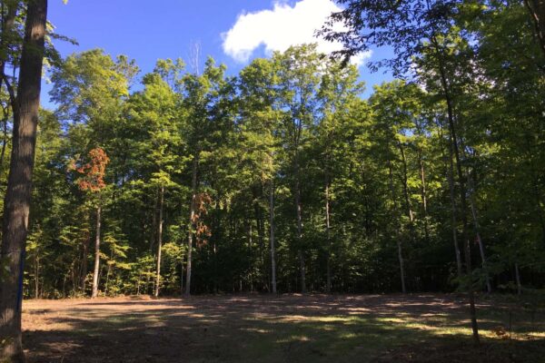 Black Walnut Lane Property Slider Photo 8