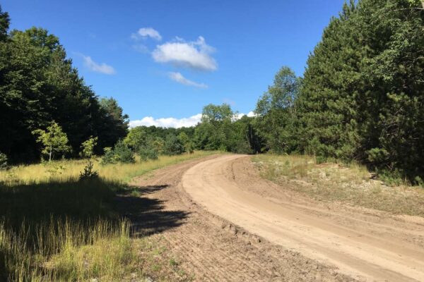 Dirt two-track winding through the property at Black Walnut Lane in the early development stages.