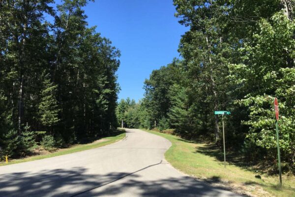 Stop sign at the intersection of Sandpiper Lane with tall pine and hardwood trees on the roadsides.