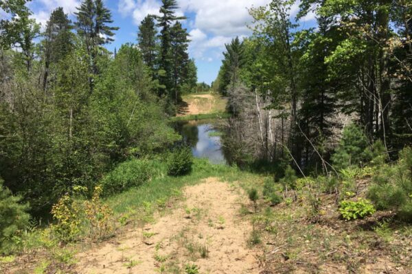 Sandy path leading down to a creek surrounded by birch and cedar trees near the Carpenter Creek residential property development in Grand Traverse County.