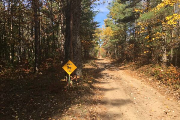 Tree-lined dirt road with a horse crossing sign.