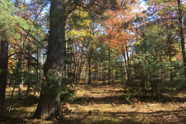 Carpenter Creek Property Slider Photos 6