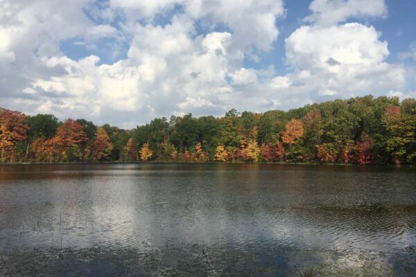 Panoramic view of Cook Lake with beautiful, bright hardwood trees on the far bank in full autumn colors.