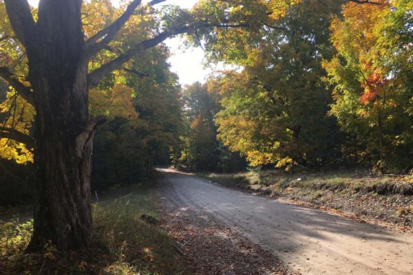 Dirt road through the woods in autumn.