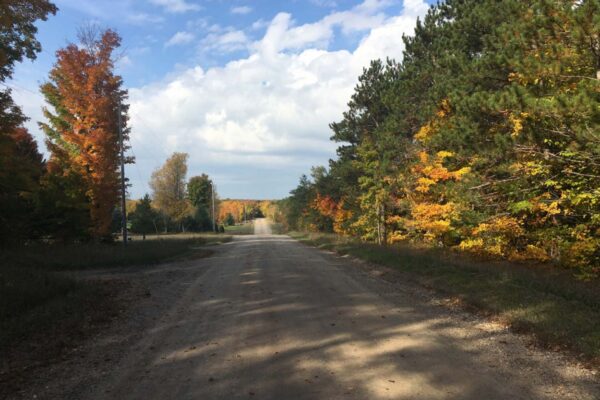 Long dirt road through the country lined with tall pines and hardwoods under a partly cloudy sky.