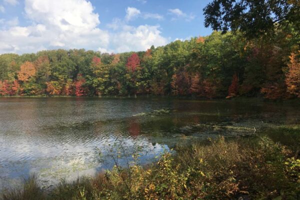 Panoramic view of Cook Lake with beautiful, bright hardwood trees on the far bank in full autumn colors.