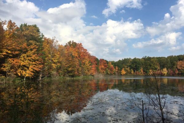 Panoramic view of Cook Lake with beautiful, bright hardwood trees on the far bank in full autumn colors.