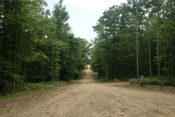 Rolling dirt road with large rocks and tall hardwood trees shading the road into the horizon.
