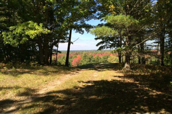 Dirt two-track leading to a hill overlooking an expansive hardwood forest in full autumn colors.
