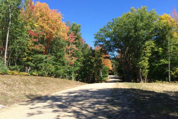 Sloping dirt road through a mature hardwood forest in full autumn color.