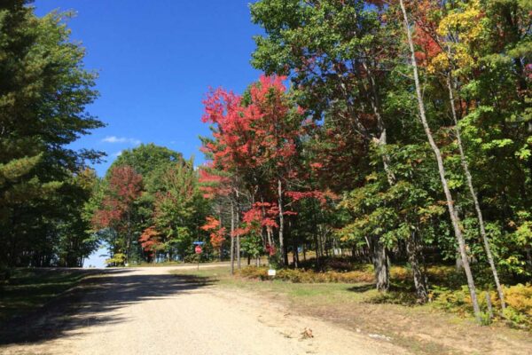 Dirt road with trees on both sides leading to a stop sign with a view of the lake.