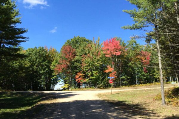 Dirt road with trees on both sides leading to a stop sign with a view of the lake.
