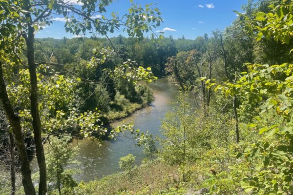 Eagles View Lookout 1