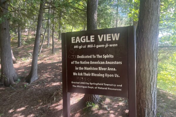 Eagles View Lookout 3