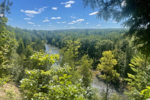Eagles View Lookout 4