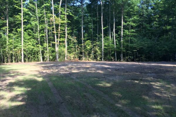 The edge of a cleared and graded 10-acre lot bordered by mature hardwood trees.