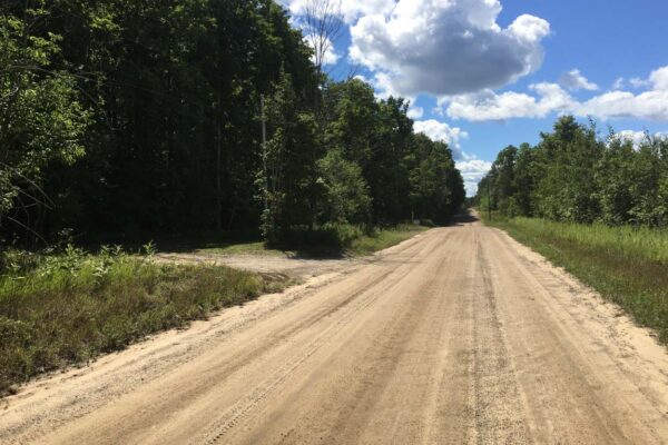 Two-lane dirt road through the woods near the Kingsley-Bowerman residential property development.