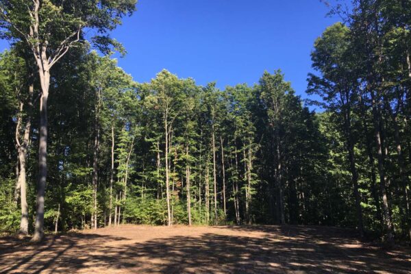 The edge of a freshly cleared and graded 10-acre lot bordered by mature hardwood trees.