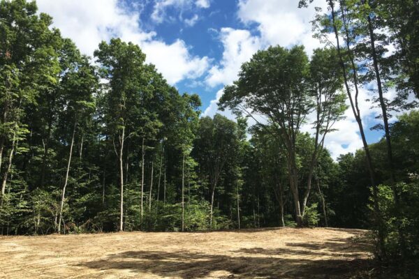 The edge of a freshly cleared and graded 10-acre lot bordered by mature hardwood trees.