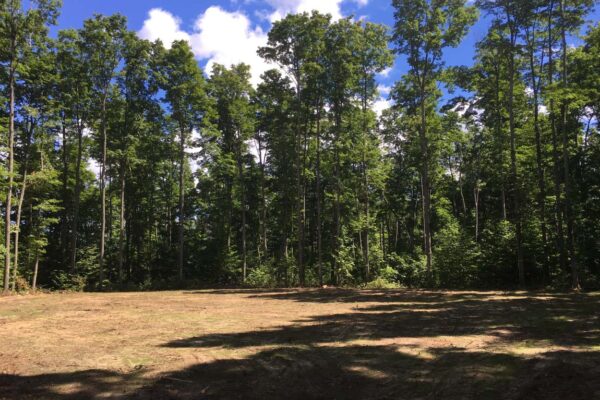 The edge of a freshly cleared and graded 10-acre lot bordered by mature hardwood trees.
