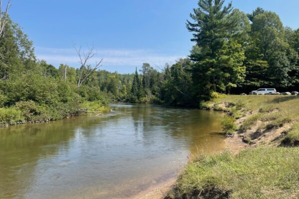 Manistee River 1