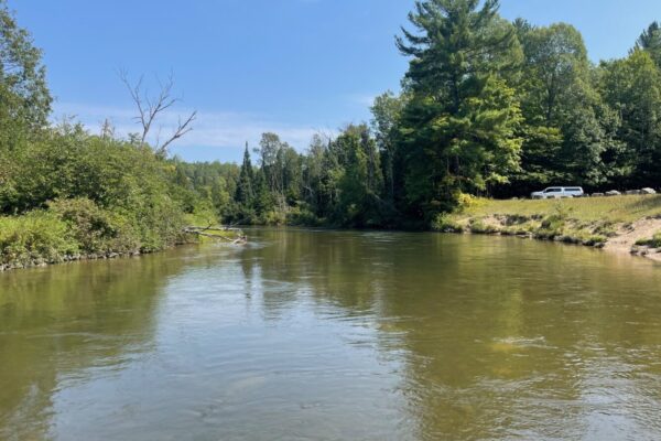 Manistee River 2