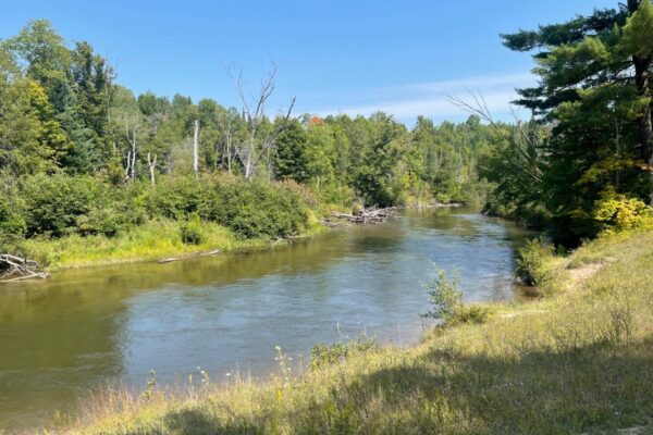 Manistee River 5