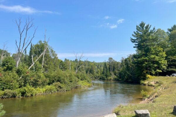 Manistee River 8