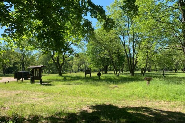 Picnic tables and benches in the Rapid River Trail camp.