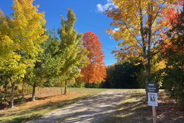 View of the driveway into Paradise Ranch lot 21 from the road.
