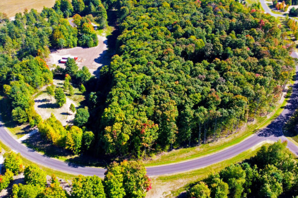 Aerial photo of a large stand of mature hardwood trees along a curving blacktop road inside the Paradise Ranch development.