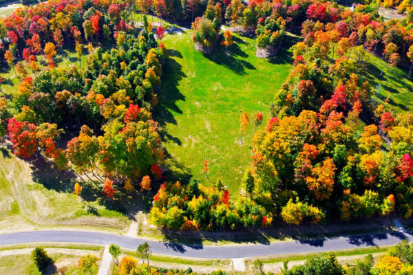 Aerial photo of a large ready-to-build lot surrounded by mature hardwood trees in full fall color inside Paradise Ranch.