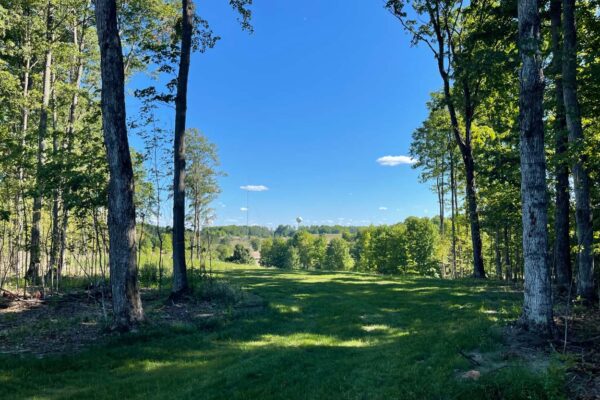 Gorgeous shaded clearing surrounded by mature hardwoods with a perfect view of the Kingsley water tower in the distance.