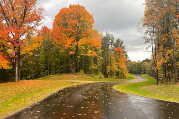 View of a wet blacktop road lined with bright fall leaves leading into the Paradise Ranch Estates property.