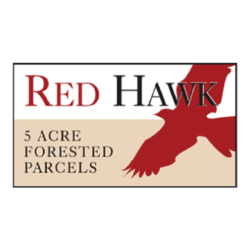 Red Hawk Property Logo