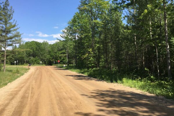Dirt road with trees on both sides and a four-way stop at the end.
