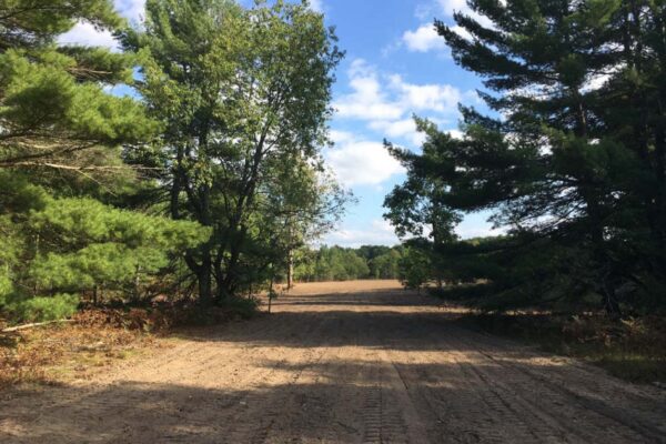 Dirt driveway leading to a freshly cleared parcel of land at the Silverado Estates residential property development in Grand Traverse County.